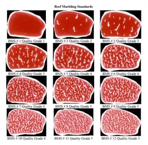 01-japanese-meat-grading-BMS